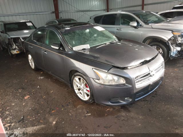 NISSAN MAXIMA 2010 1n4aa5ap0ac830008