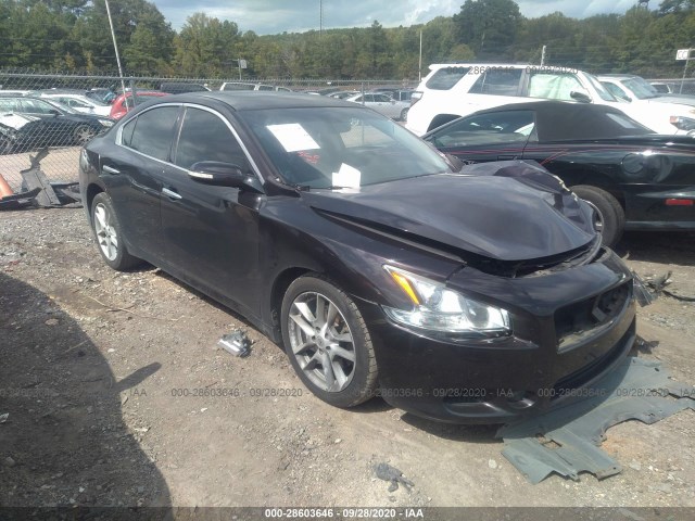 NISSAN MAXIMA 2010 1n4aa5ap0ac830249