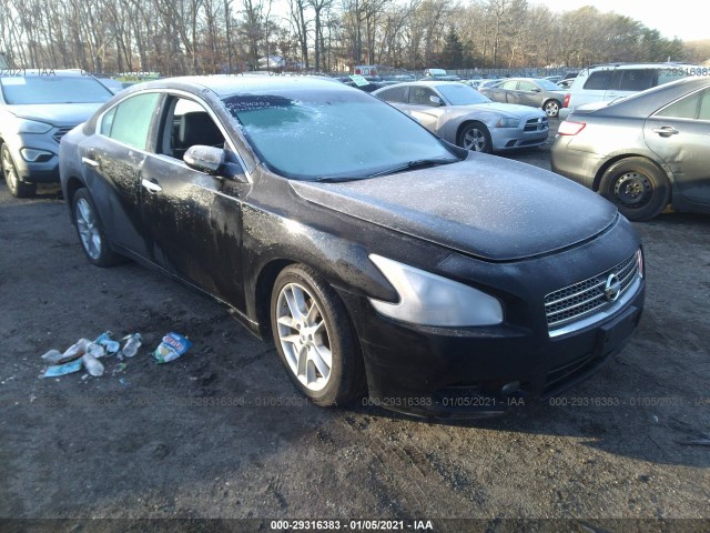 NISSAN MAXIMA 2010 1n4aa5ap0ac835533