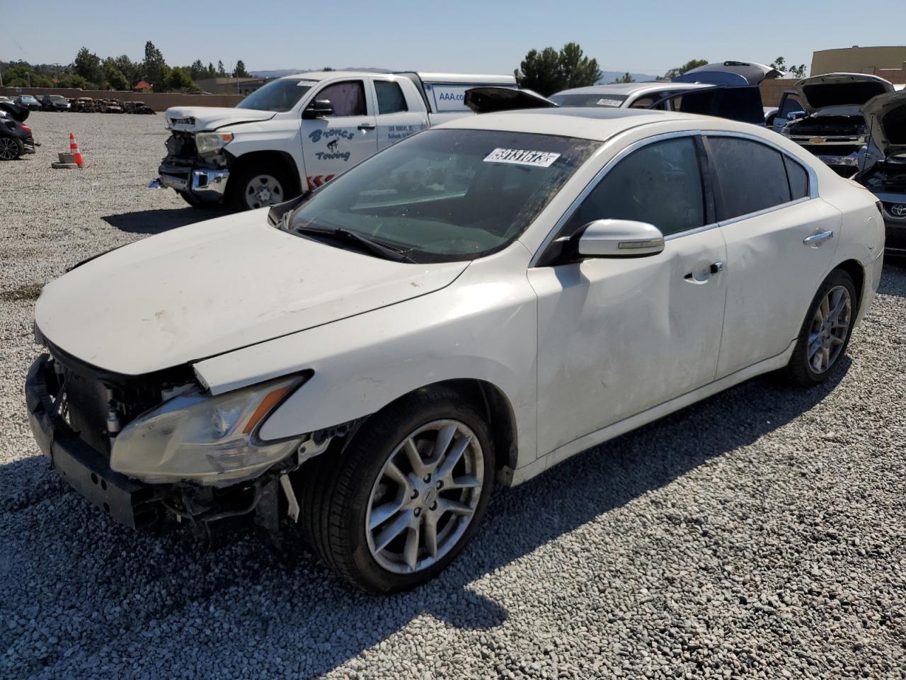 NISSAN MAXIMA 2010 1n4aa5ap0ac838061