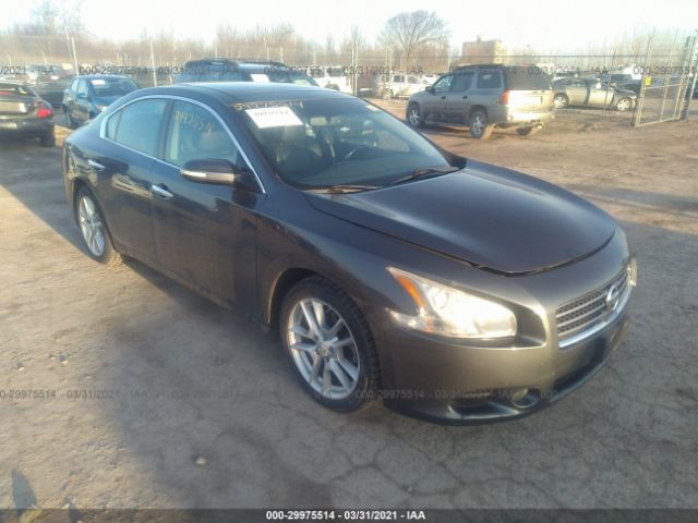 NISSAN MAXIMA 2010 1n4aa5ap0ac850243