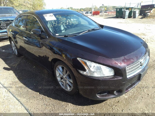 NISSAN MAXIMA 2010 1n4aa5ap0ac851943