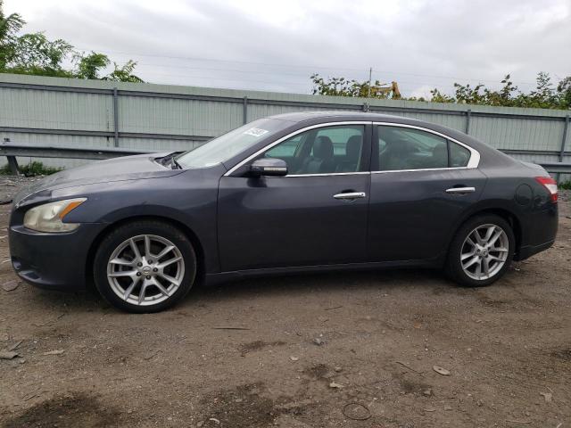 NISSAN MAXIMA 2010 1n4aa5ap0ac865440