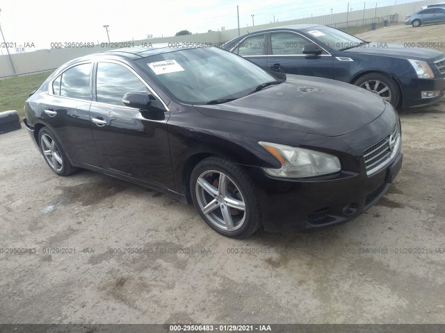 NISSAN MAXIMA 2010 1n4aa5ap0ac865499