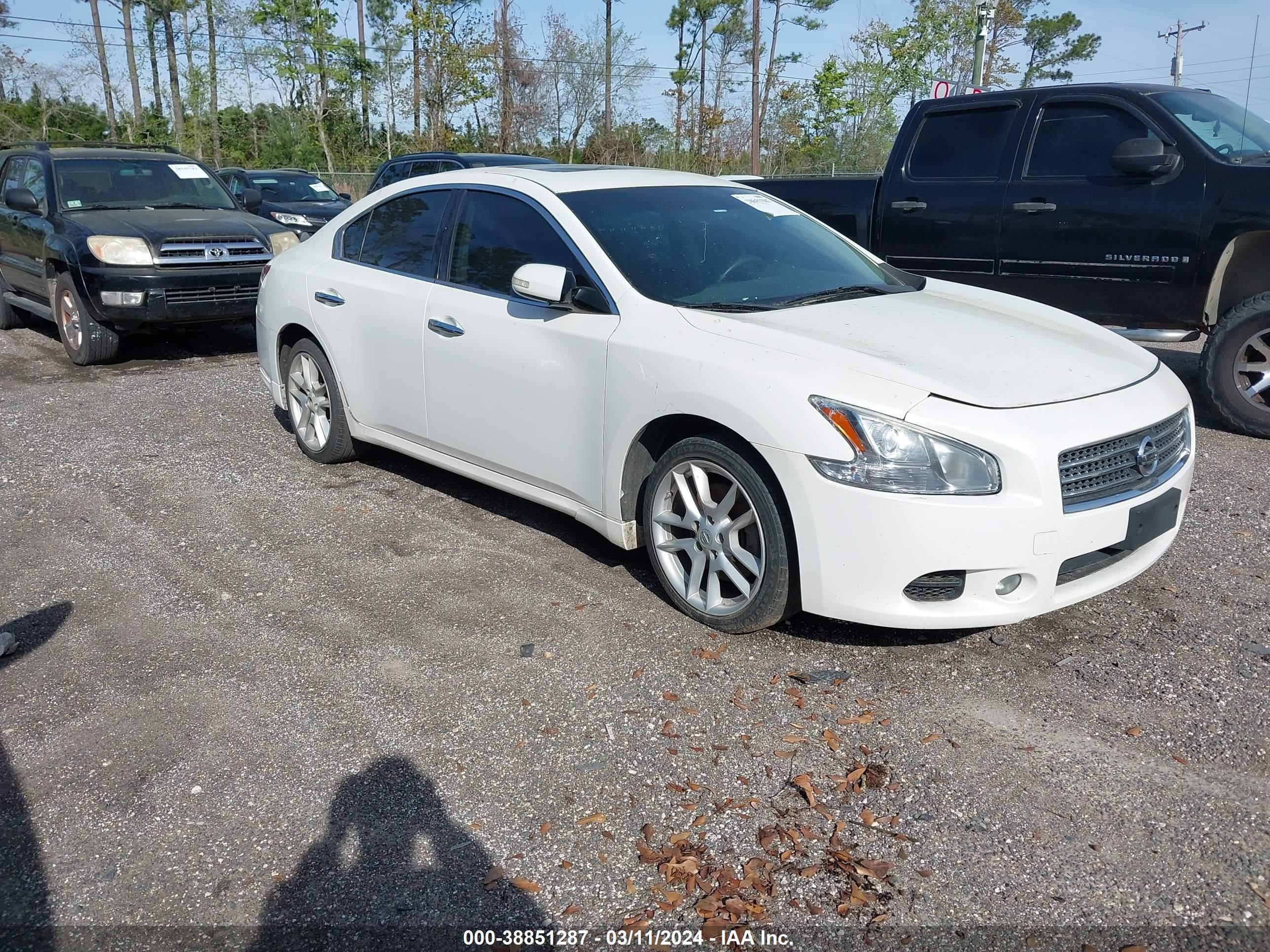 NISSAN MAXIMA 2011 1n4aa5ap0bc803876