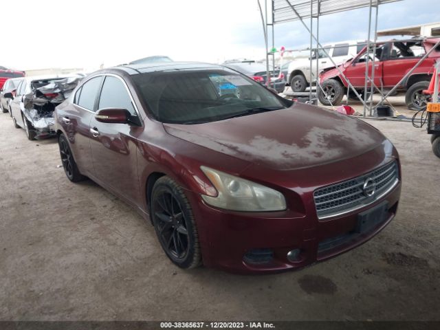 NISSAN MAXIMA 2011 1n4aa5ap0bc805594