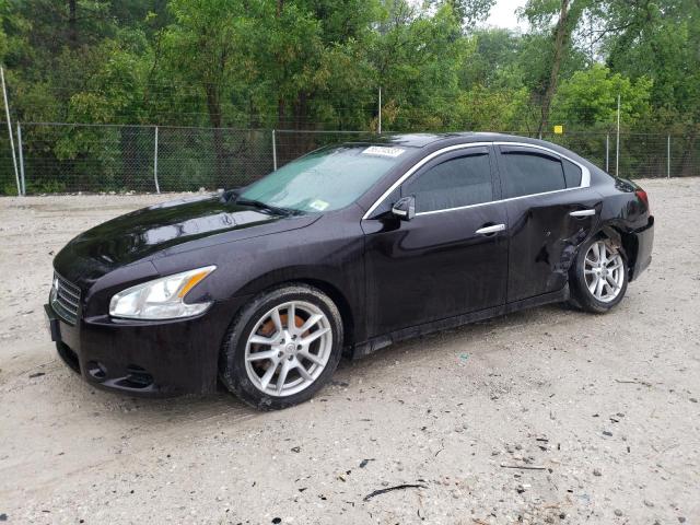 NISSAN MAXIMA S 2011 1n4aa5ap0bc806907