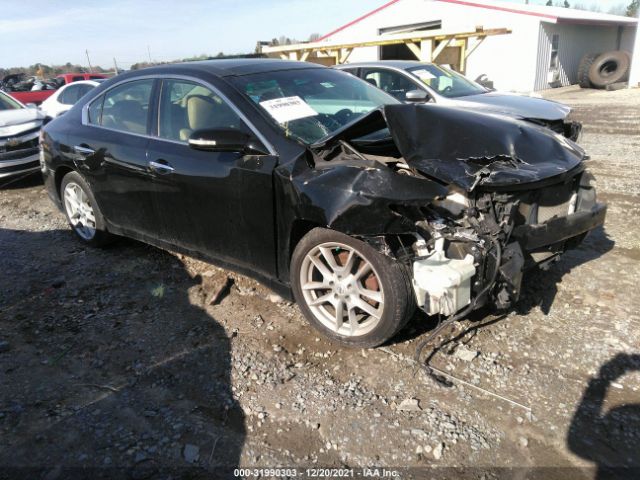 NISSAN MAXIMA 2011 1n4aa5ap0bc811573