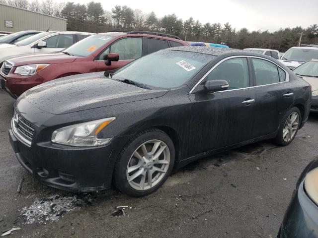 NISSAN MAXIMA 2011 1n4aa5ap0bc816496