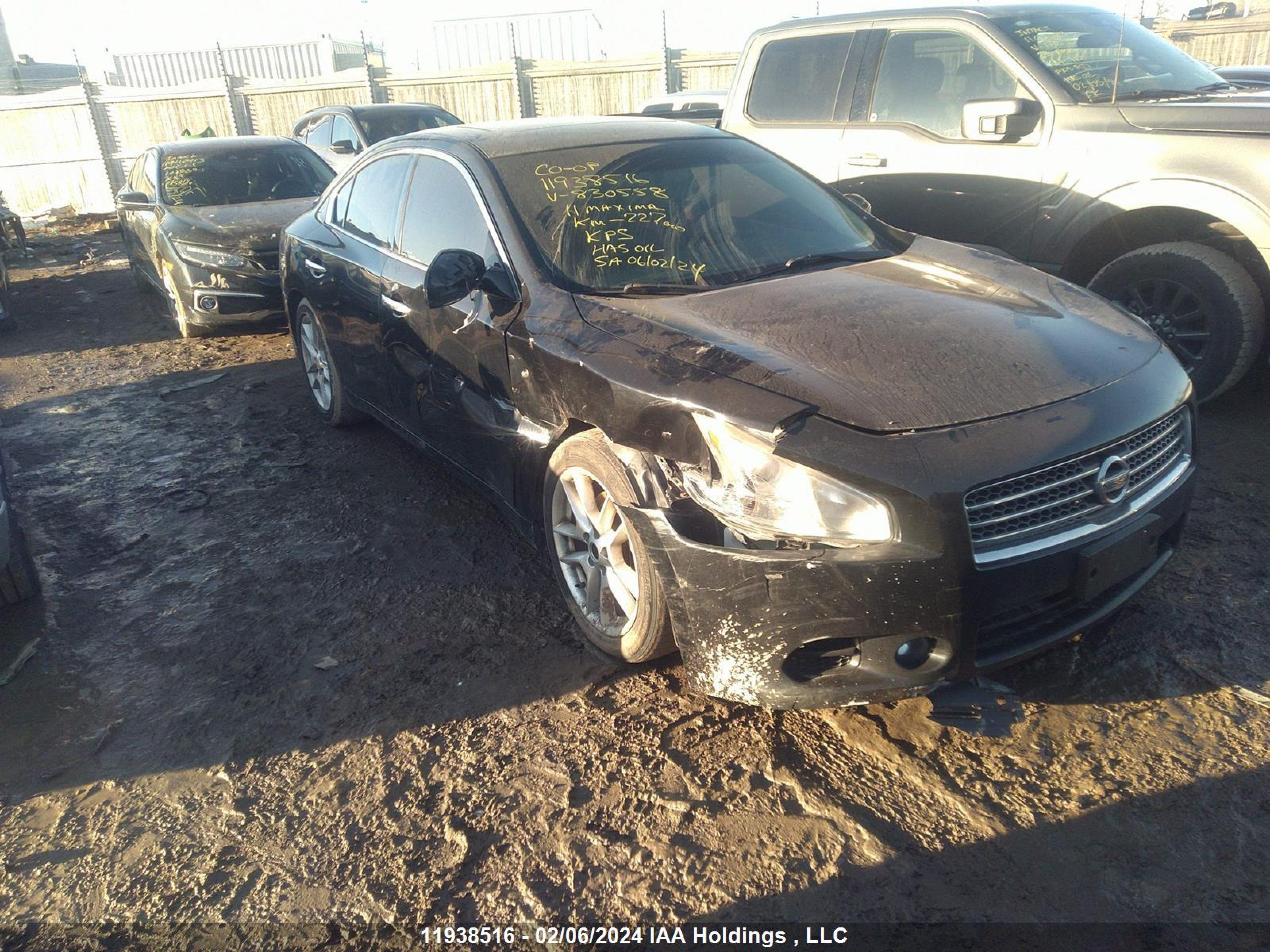 NISSAN MAXIMA 2011 1n4aa5ap0bc830558