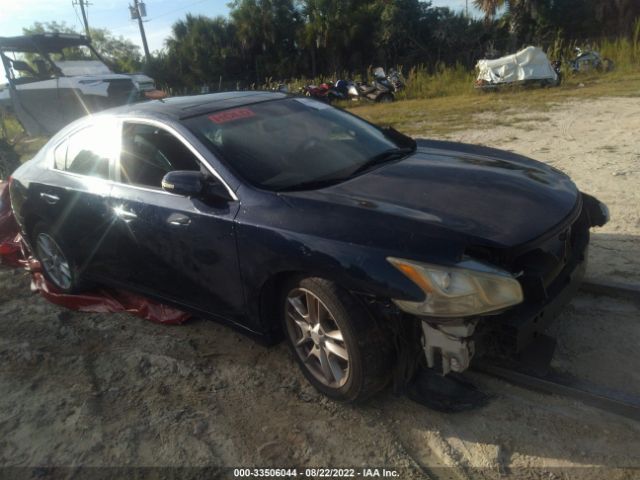 NISSAN MAXIMA 2011 1n4aa5ap0bc837025