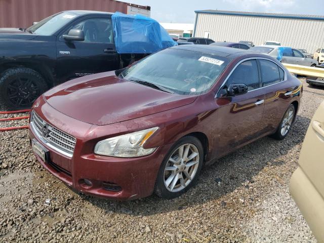 NISSAN MAXIMA 2011 1n4aa5ap0bc837770