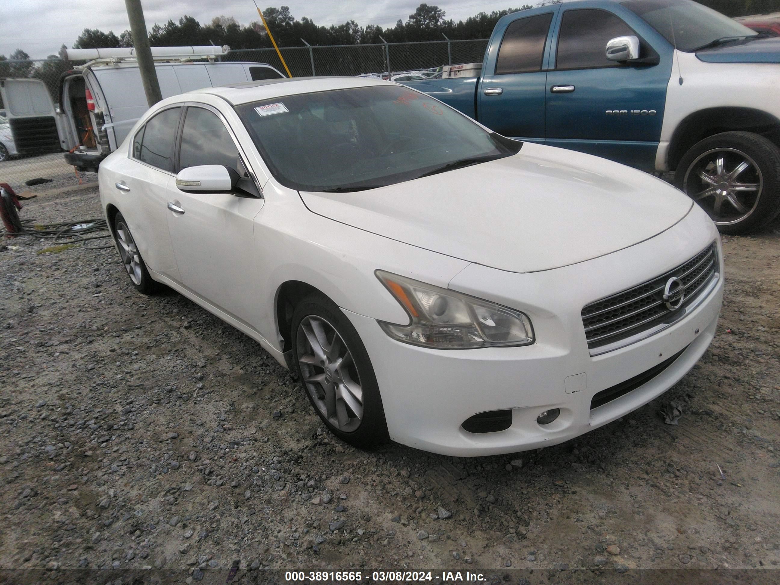 NISSAN MAXIMA 2011 1n4aa5ap0bc853659