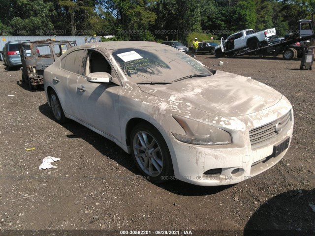 NISSAN MAXIMA 2011 1n4aa5ap0bc861003