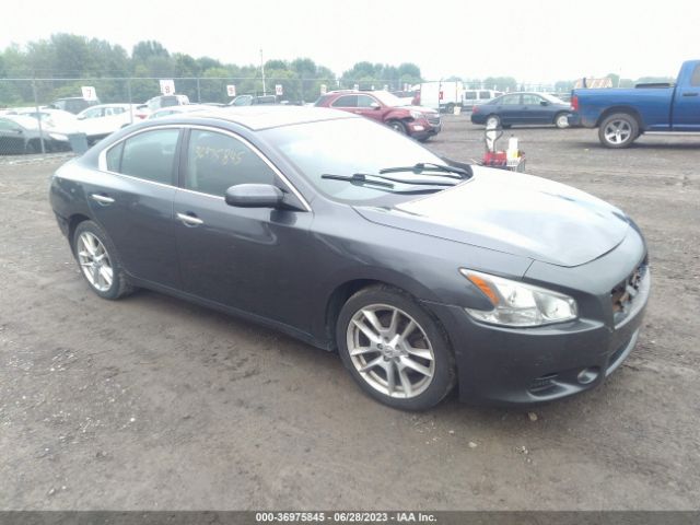 NISSAN MAXIMA 2013 1n4aa5ap0dc835519