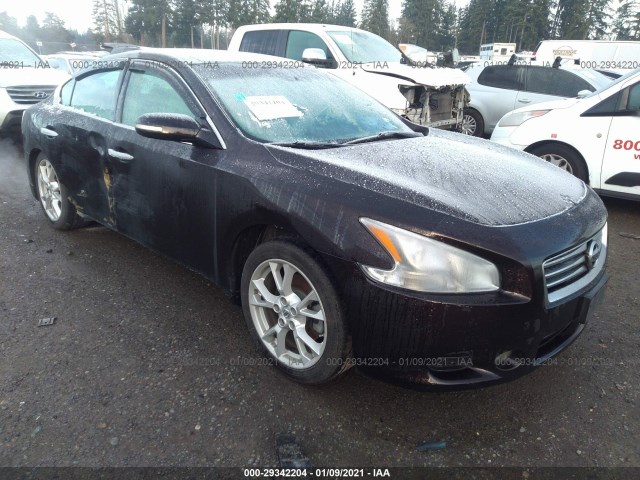 NISSAN MAXIMA 2013 1n4aa5ap0dc845855