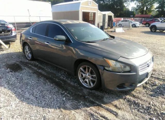 NISSAN MAXIMA 2010 1n4aa5ap1ac801181