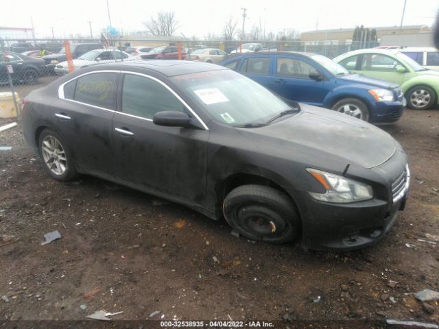 NISSAN MAXIMA 2010 1n4aa5ap1ac801486