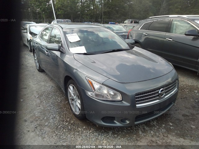 NISSAN MAXIMA 2010 1n4aa5ap1ac804033