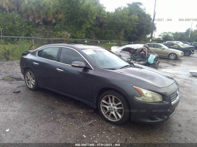 NISSAN MAXIMA 2010 1n4aa5ap1ac804954