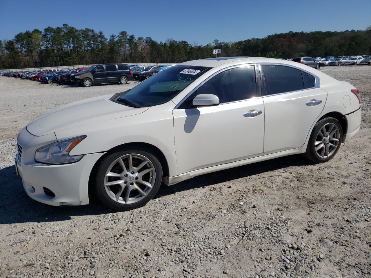 NISSAN MAXIMA 2010 1n4aa5ap1ac809068