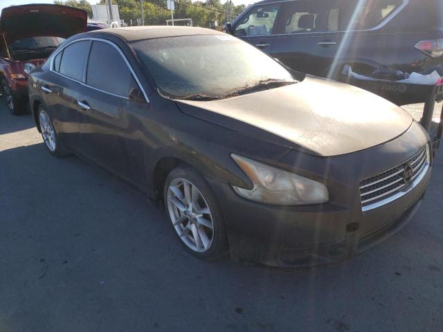 NISSAN MAXIMA S 2010 1n4aa5ap1ac809216