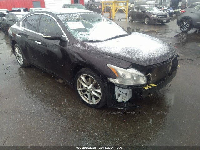 NISSAN MAXIMA 2010 1n4aa5ap1ac814559