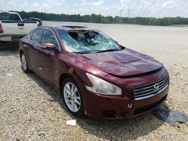 NISSAN MAXIMA 2010 1n4aa5ap1ac815419