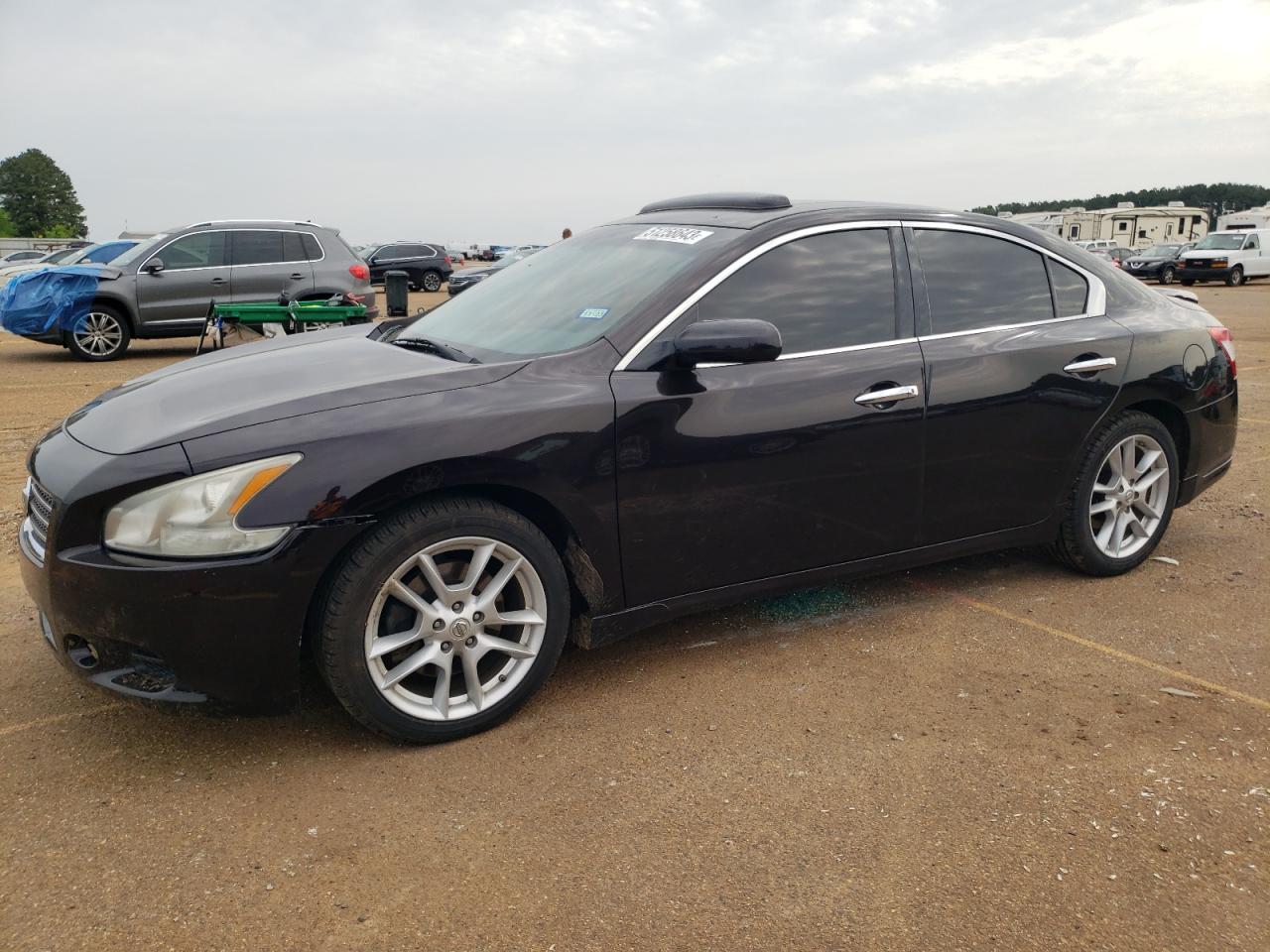 NISSAN MAXIMA 2010 1n4aa5ap1ac815713