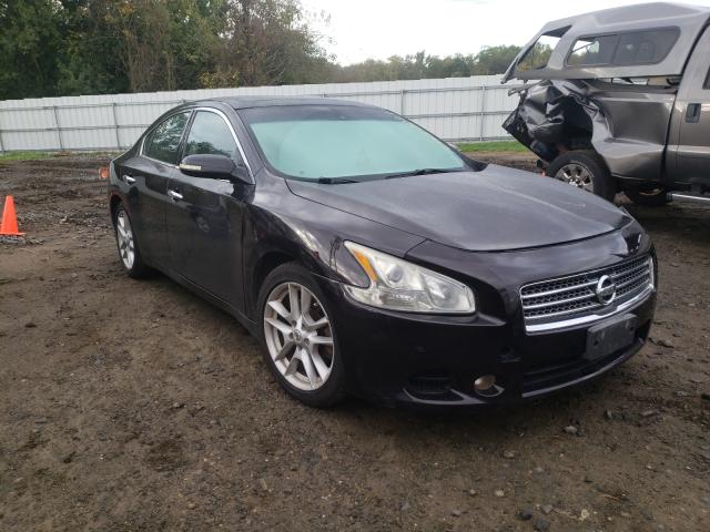 NISSAN MAXIMA S 2010 1n4aa5ap1ac816795