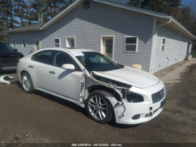 NISSAN MAXIMA 2010 1n4aa5ap1ac817204