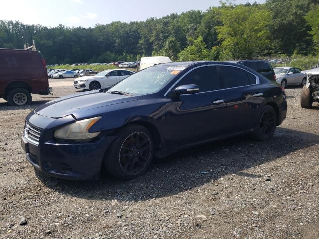 NISSAN MAXIMA S 2010 1n4aa5ap1ac821379