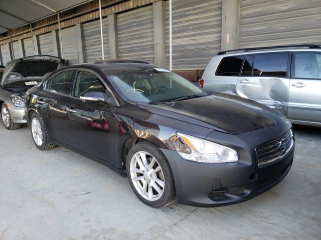 NISSAN MAXIMA S 2010 1n4aa5ap1ac821415