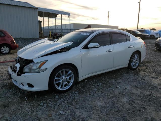 NISSAN MAXIMA 2010 1n4aa5ap1ac827926