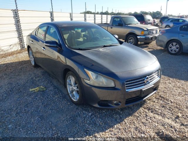 NISSAN MAXIMA 2010 1n4aa5ap1ac833547