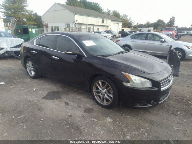 NISSAN MAXIMA 2010 1n4aa5ap1ac835850