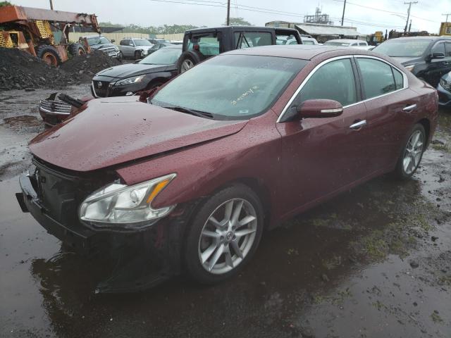 NISSAN MAXIMA 2010 1n4aa5ap1ac840742