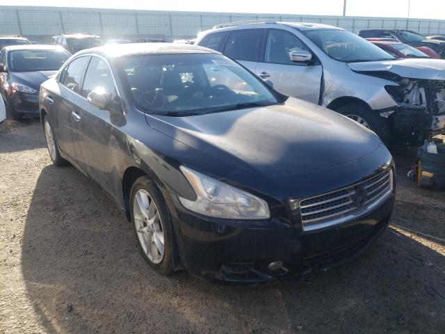 NISSAN MAXIMA 2010 1n4aa5ap1ac841440