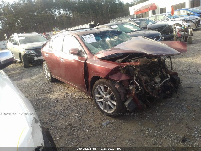 NISSAN MAXIMA 2010 1n4aa5ap1ac843124