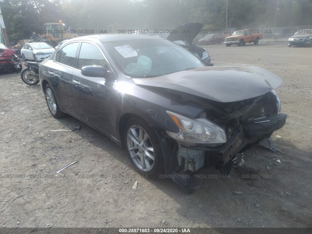 NISSAN MAXIMA 2010 1n4aa5ap1ac845178