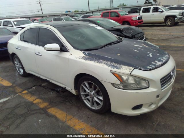 NISSAN MAXIMA 2010 1n4aa5ap1ac845746