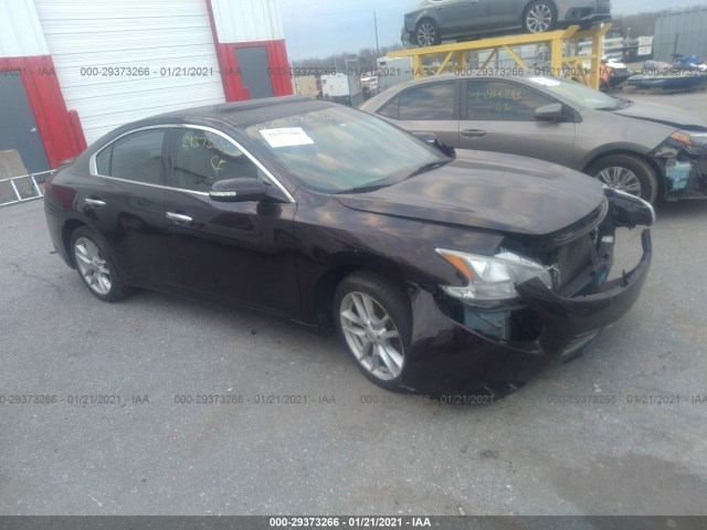 NISSAN MAXIMA 2010 1n4aa5ap1ac847819