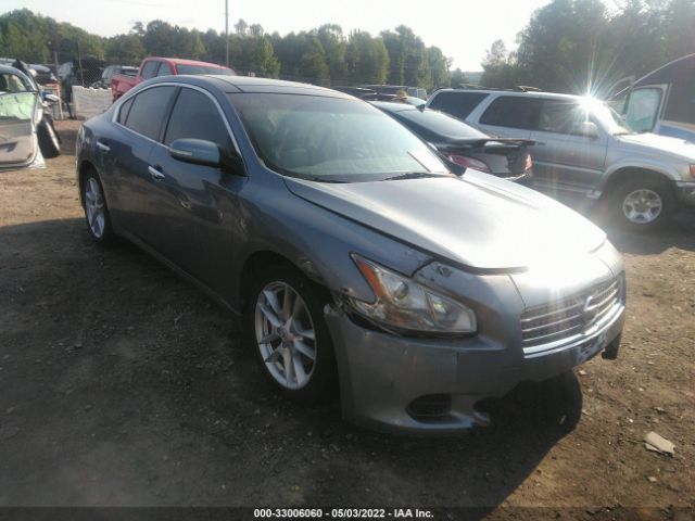 NISSAN MAXIMA 2010 1n4aa5ap1ac853040