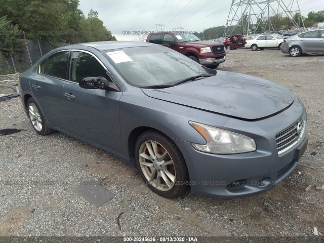 NISSAN MAXIMA 2010 1n4aa5ap1ac855502