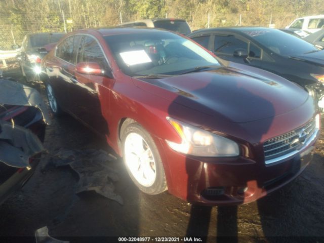 NISSAN MAXIMA 2010 1n4aa5ap1ac855841