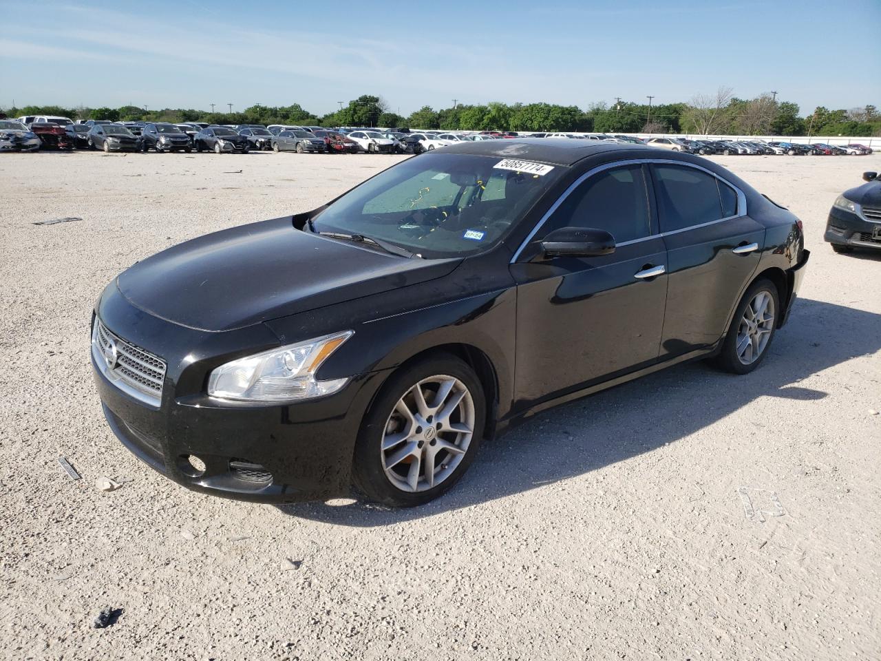 NISSAN MAXIMA 2010 1n4aa5ap1ac860621