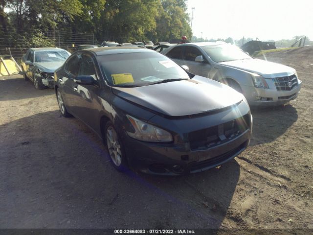 NISSAN MAXIMA 2010 1n4aa5ap1ac866466