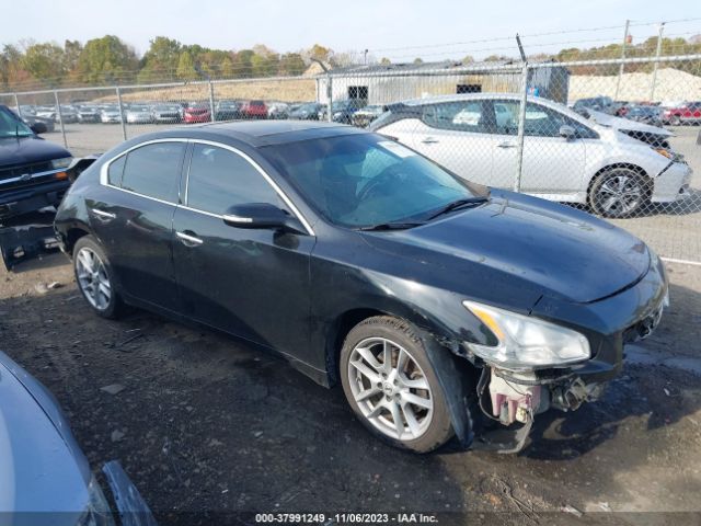 NISSAN MAXIMA 2011 1n4aa5ap1bc800842