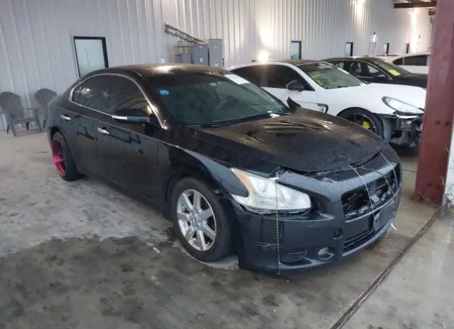 NISSAN MAXIMA 2011 1n4aa5ap1bc810335