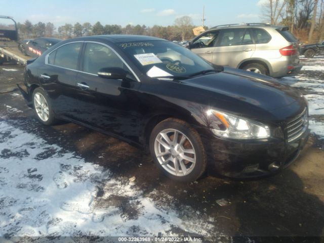 NISSAN MAXIMA 2011 1n4aa5ap1bc814773